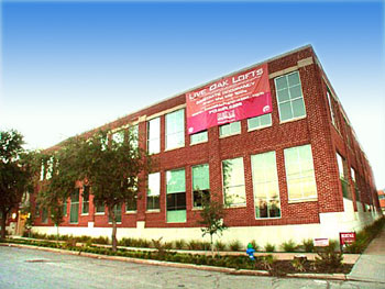 Live Oak Lofts in Downtown Houston